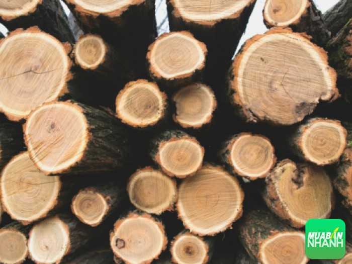 Cách nhận biết gỗ hương