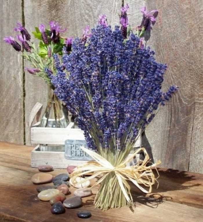 Quà tặng 20/10 ý nghĩa: hoa khô Lavender