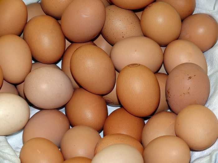 Giá trị dinh dưỡng không ngờ của trứng gà và cách ăn trứng gà tốt nhất nhiều người chưa biết