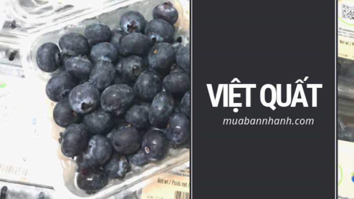 việt quất