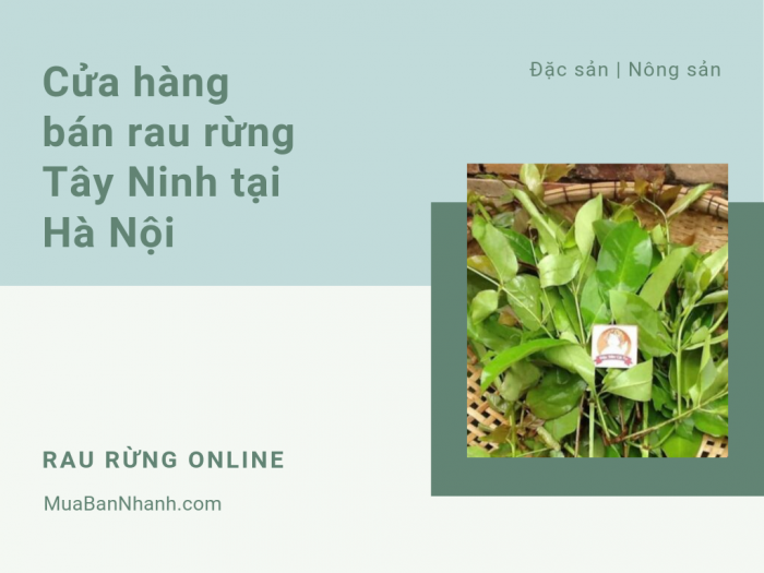 Cửa hàng bán rau rừng Tây Ninh ở Hà Nội - Mua rau rừng online trên MuaBanNhanh