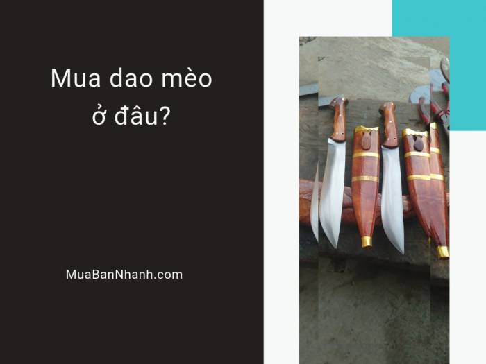 Mua dao mèo ở đâu? Shop dao mèo giá rẻ ở TPHCM trên MuaBanNhanh