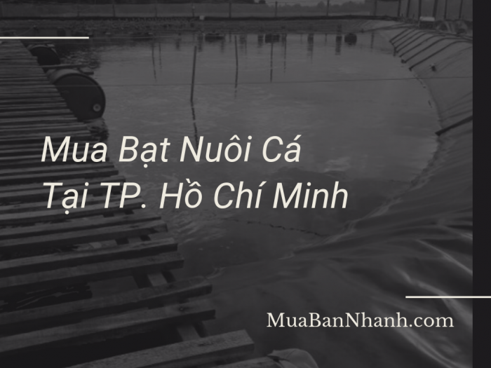 Địa chỉ mua bạt nuôi cá TPHCM - lót hồ cá, bờ ao, chống thấm, làm bồn bạt trên MuaBanNhanh