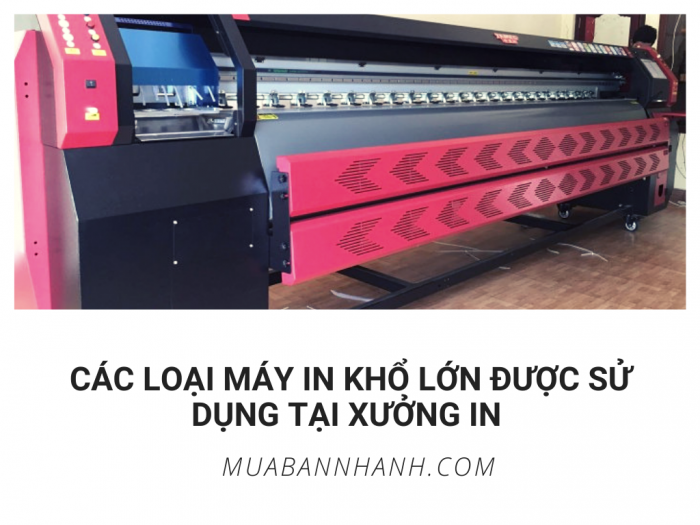 Các loại máy in khổ lớn được xưởng in, công ty in sử dụng hiện nay