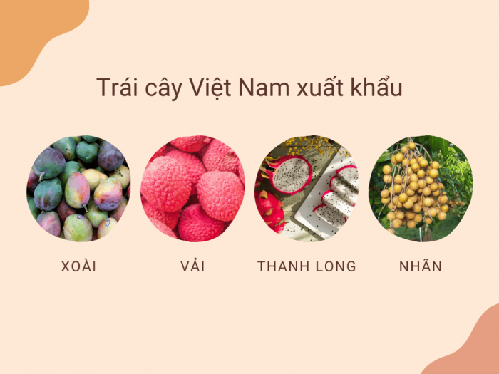 Các loại trái cây Việt Nam xuất khẩu sang Úc, Nhật, Mỹ, Trung Quốc