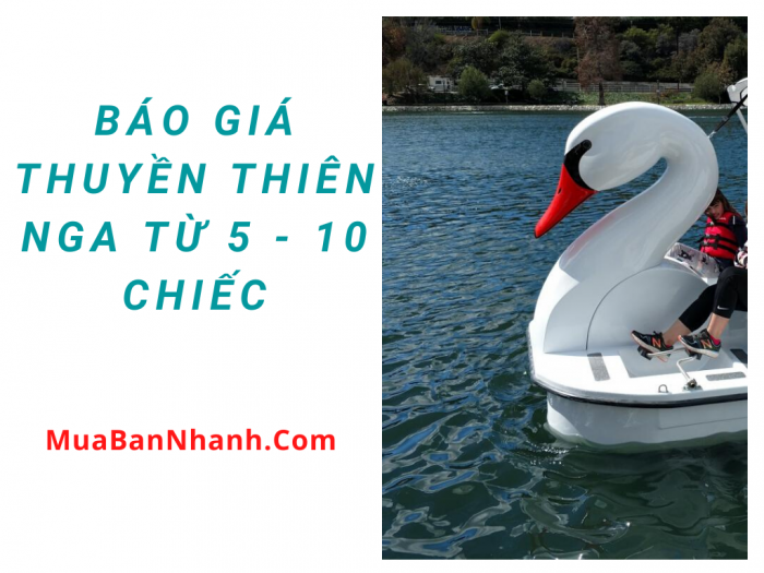 Báo giá thuyền thiên nga từ 5, 10 chiếc cho khu vui chơi giải trí - Mua thuyền thiên nga nhựa Composite Hà Nội, Quảng Ninh, Hải Phòng