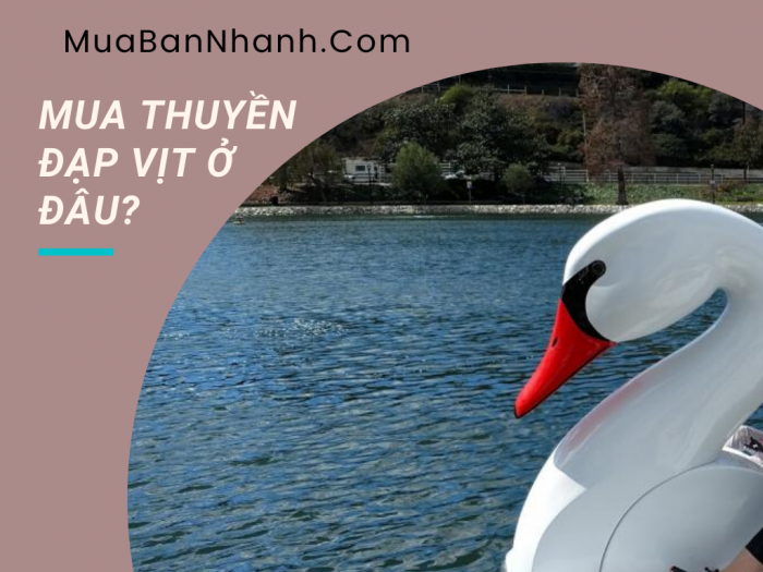 Mua thuyền đạp vịt ở đâu? bao nhiêu tiền? Nơi mua bán, thanh lý, cung cấp thuyền đạp vịt cũ mới tại Hà Nội