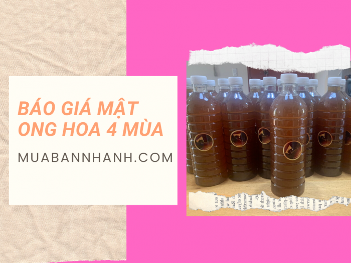 Báo giá mật ong hoa bốn mùa: cà phê tháng giêng đến tháng 3, nhãn và cao su từ tháng 3 đến tháng 4