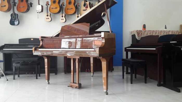 dịch vụ cho thuê piano