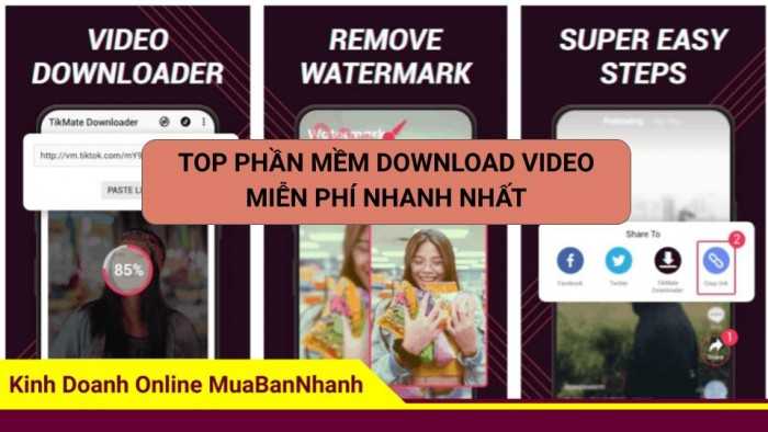 Top phần mềm download video miễn phí nhanh nhất