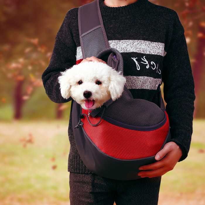 Nguồn hàng túi vận chuyển chó mèo, balo phi hành gia - lấy sỉ cho Pet shop làm thương hiệu
