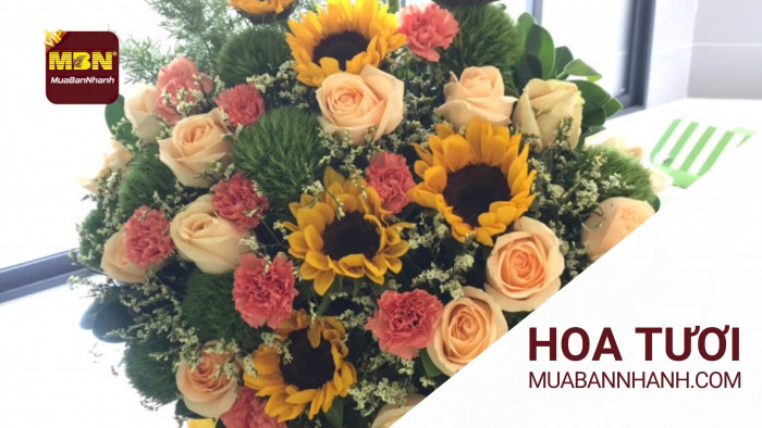 Quà tặng MuaBanNhanh