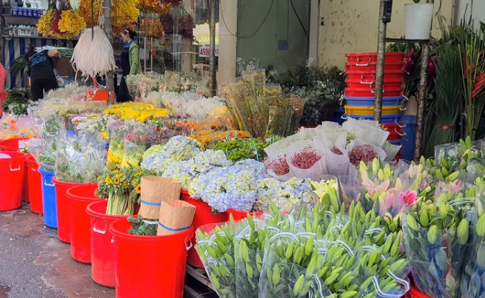 Tư vấn nguồn hàng kinh doanh hoa tươi Đà Lạt, hoa tươi nhập khẩu giá tốt