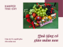 Quà tặng 20/10 cho cô giáo mầm non - Hamper trái cây - Cám ơn Cô, người giáo viên mầm non