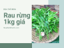 Rau rừng bao nhiêu 1kg? Ở đâu bán các loại rau rừng, cửa hàng bán rau rừng TPHCM