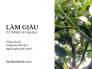 Làm giàu từ trồng cây ăn quả - Dễ trồng, nhanh cho thu hoạch
