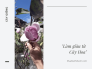 Làm giàu từ trồng hoa - bán Tết, cắt cành, vào chậu trang trí nội thất, ngoại thất trong nước & xuất khẩu