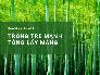 Người nông dân trồng tre lấy măng - cây tre Mạnh Tông phủ xanh đất, mang lại nguồn thu nhập tốt tại Đạ Tẻh, Lâm Đồng