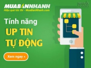 Hướng Dẫn Sử Dụng Tính Năng Up Tin Tự Động Trên Muabannhanh.Com