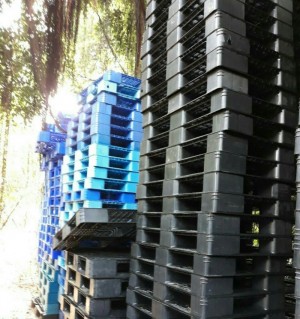 Tư vấn chọn mua Pallet nhựa cũ tại Đà Nẵng
