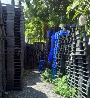Tiêu chí lựa chọn Pallet nhựa thanh lý tại Đà Nẵng
