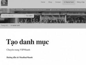 Hướng Dẫn Tạo Danh Mục Cho Chuyên Trang Vipnhanh