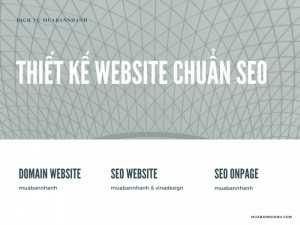 Dịch vụ thiết kế website chuẩn SEO là gì?