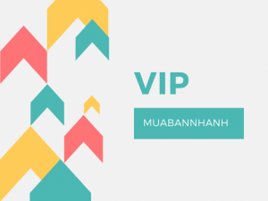 VIP MuaBanNhanh là gì?