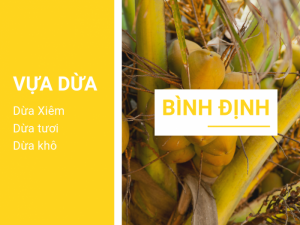 Vựa dừa Bình Định - Mối sỉ dừa Bình Định, giá dừa xiêm, dừa tươi, dừa khô Bình Định - vựa dừa lớn nhất miền Trung trên MuaBanNhanh