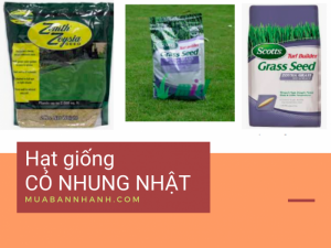 Giá hạt giống cỏ nhung nhật - Mua bán hạt giống cỏ nhung Nhật trên MuaBanNhanh