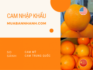 So sánh giá cam nhập khẩu của Mỹ và Trung Quốc