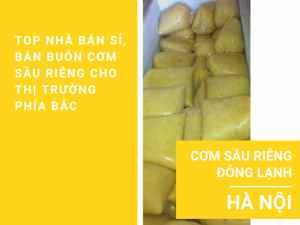 Giá cơm sầu riêng đông lạnh Hà Nội - Top nhà bán sỉ, bán buôn cơm sầu riêng cho thị trường phía Bắc