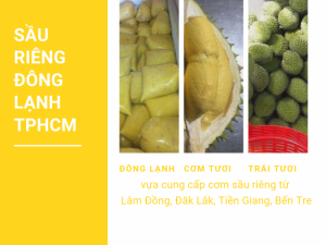 Giá cơm sầu riêng đông lạnh TPHCM - vựa cung cấp cơm sầu riêng từ Lâm Đồng, Đăk Lắk, Tiền Giang, Bến Tre