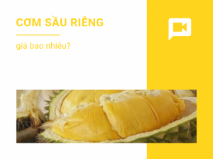 Cơm sầu riêng giá bao nhiêu? Bán cơm sầu riêng giá sỉ làm bánh trung thu, chè, sinh tố