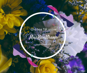 Chợ hoa Tết online MuaBanNhanh - Top 20 loài hoa chơi Tết, chưng cắm phòng khách, bàn thờ