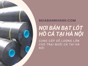 Nơi bán bạt lót hồ cá Hà Nội - cung cấp số lượng lớn cho trại nuôi cá cảnh, cá hồi, cá chạch Hà Nội