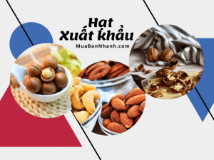 Các loại hạt dinh dưỡng xuất khẩu chủ lực của Việt Nam