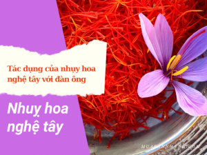 Tác dụng của nhụy hoa nghệ tây với đàn ông