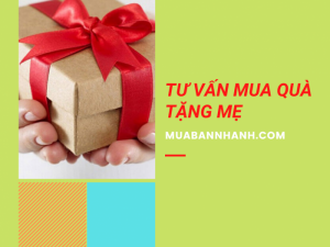 Tư vấn mua quà tặng mẹ là giáo viên, doanh nhân, quản lý, mẹ về hưu thích thiên nhiên, nấu ăn