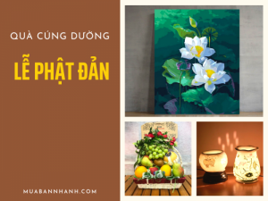 Top 5 quà tặng Cúng Dường trong ngày đại lễ Phật Đản