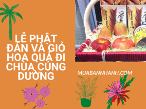 Lễ Phật Đản và giỏ hoa quả đi lễ Chùa cúng dường