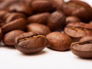 Tìm hiểu về các loại hạt cà phê, vị của các loại cà phê, cách nhận biết các loại hạt cà phê