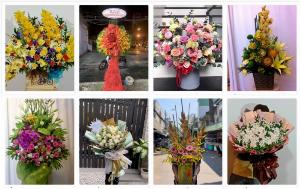 Shop hoa tươi online tại quận Tân Bình, TPHCM - Chuyên hoa chúc mừng, khai trương, sinh nhật, hoa viếng đẹp